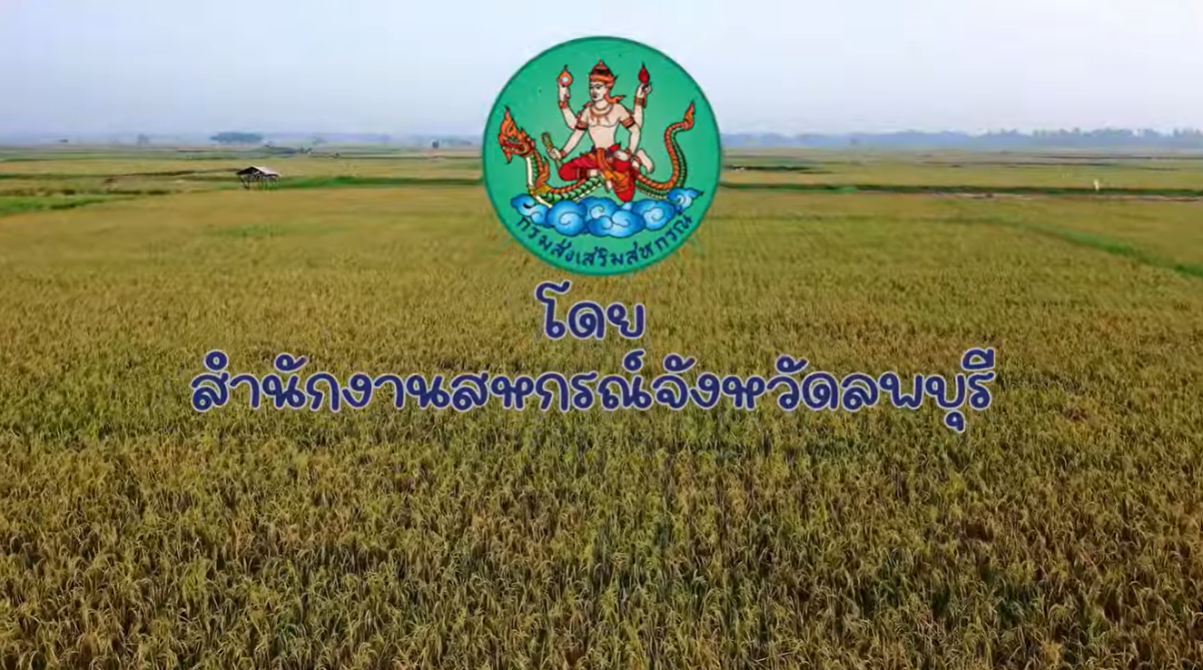 แนะนำสำนักงานสหกรณ์จังหวัดลพบุรี