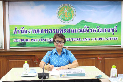 การประชุมคณะกรรมการศูนย์ติดตามและแก้ไขปัญหา ... พารามิเตอร์รูปภาพ 1