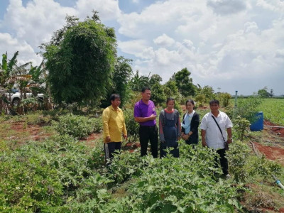 ตรวจเยี่ยมและติดตามสมาชิกโครงการส่งเสริมการทำเกษตรปลอดภัยในเขตพื้นที่นิคมสหกรณ์ชัยบาดาล ... พารามิเตอร์รูปภาพ 1