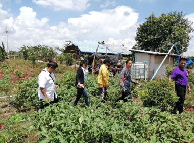 ตรวจเยี่ยมและติดตามสมาชิกโครงการส่งเสริมการทำเกษตรปลอดภัยในเขตพื้นที่นิคมสหกรณ์ชัยบาดาล ... พารามิเตอร์รูปภาพ 2