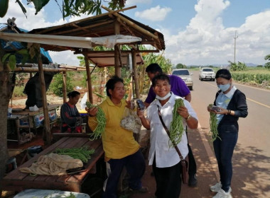 ตรวจเยี่ยมและติดตามสมาชิกโครงการส่งเสริมการทำเกษตรปลอดภัยในเขตพื้นที่นิคมสหกรณ์ชัยบาดาล ... พารามิเตอร์รูปภาพ 5