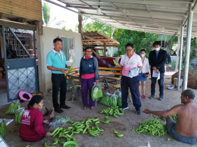 ตรวจเยี่ยมและติดตามสมาชิกโครงการส่งเสริมการทำเกษตรปลอดภัยในเขตพื้นที่นิคมสหกรณ์ ... พารามิเตอร์รูปภาพ 1