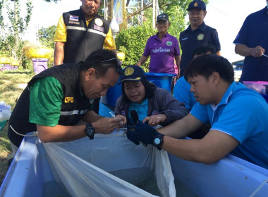 ร่วมโครงการเพิ่มผลผลิตสัตว์น้ำในพื้นที่ลุ่มต่ำ ทุ่งสุโขทัย ... พารามิเตอร์รูปภาพ 1