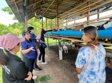 โครงการขับเคลื่อนการประยุกต์ใช้หลักปรัชญาของเศรษฐกิจพอเพียงในสหกรณ์และกลุ่มเกษตรกร ประจำปีงบประมาณ พ.ศ. ๒๕๖๘ ... พารามิเตอร์รูปภาพ 2