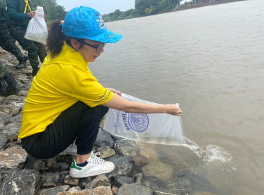 กิจกรรมจิตอาสาบำเพ็ญสาธารณประโยชน์และบำเพ็ญสาธารณกุศล ... พารามิเตอร์รูปภาพ 4