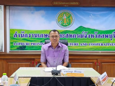ประชุมคณะทำงานสรรหาปราชญ์เกษตรของแผ่นดิน ระดับจังหวัดลพบุรี พารามิเตอร์รูปภาพ 1