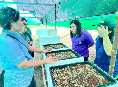โครงการขับเคลื่อนการประยุกต์ใช้หลักปรัชญาของเศรษฐกิจพอเพียง พารามิเตอร์รูปภาพ 6