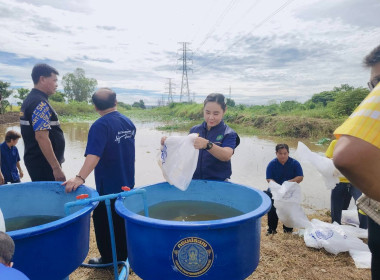 กิจกรรมฟื้นฟูและบริหารจัดการทรัพยากรประมงในแหล่งน้ำวันอังคารที่ ... พารามิเตอร์รูปภาพ 1