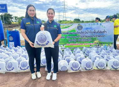 กิจกรรมฟื้นฟูและบริหารจัดการทรัพยากรประมงในแหล่งน้ำวันอังคารที่ ... พารามิเตอร์รูปภาพ 4