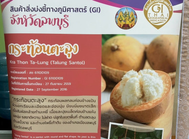 ร่วมพิธี ... พารามิเตอร์รูปภาพ 6