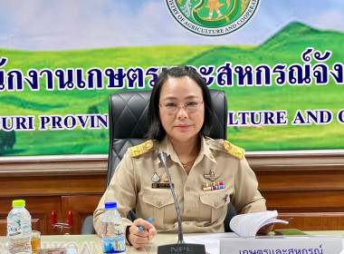 การประชุมคณะทำงานพิจารณากลั่นกรอง ติดตามและตรวจสอบ ... พารามิเตอร์รูปภาพ 3