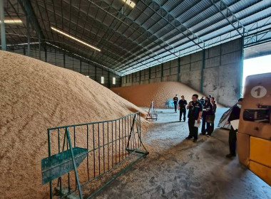 ร่วมตรวจสอบสต๊อกข้าวตามโครงการชดเชยดอกเบี้ยให้ผู้ประกอบการค้าข้าวในการเก็บสต๊อก ปีการผลิต 2568/69 จังหวัดลพบุรี ... พารามิเตอร์รูปภาพ 2