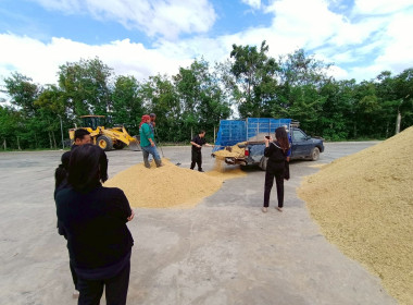 ลงพื้นที่จุดรวบรวมข้าวของสหกรณ์การเกษตรสระโบสถ์ จำกัด ... พารามิเตอร์รูปภาพ 4