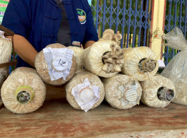 จัดอบรมส่งเสริมพัฒนาอาชีพและการตลาด ... พารามิเตอร์รูปภาพ 14